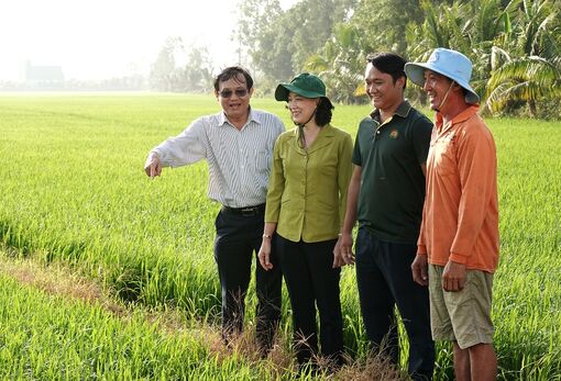 Chủ động bảo vệ lúa và phòng, chống cháy rừng