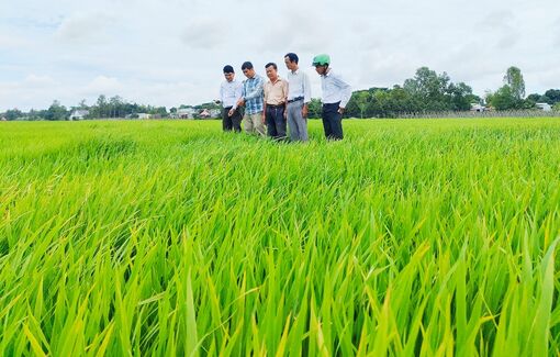 Huyện Châu Phú tập trung nhiệm vụ năm 2024
