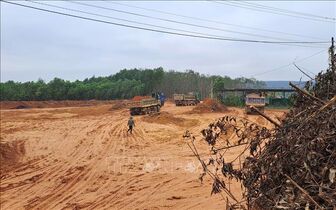 Phát hiện vụ đào lấy đất rừng sản xuất trái phép quy mô lớn