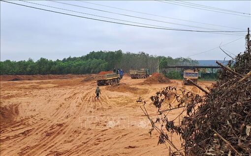 Phát hiện vụ đào lấy đất rừng sản xuất trái phép quy mô lớn