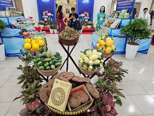 An Giang nâng chất hoạt động hợp tác xã