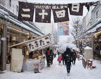 Cảnh báo tuyết rơi dày làm gián đoạn giao thông ở Tokyo