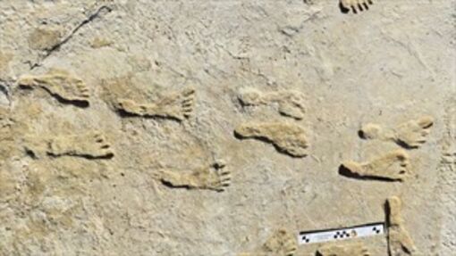 Phát hiện hơn 80 dấu chân con người niên đại khoảng 100.000 năm