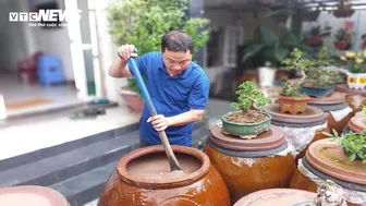 Làng nước mắm nức tiếng 400 năm ở Đà Nẵng