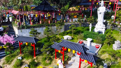 Ngôi chùa cổ bình yên có cây thị trăm tuổi linh thiêng gần Hà Nội