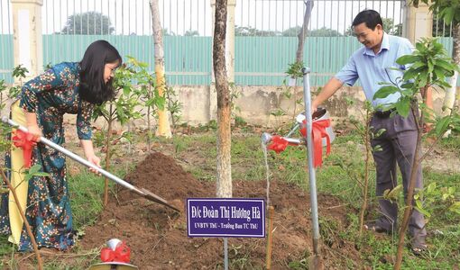 Vun trồng cho tương lai