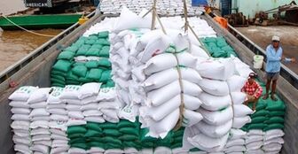 Xuất khẩu gạo năm 2023 đạt trên 8,1 triệu tấn