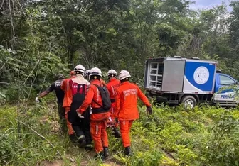 Máy bay nhỏ rơi ở rừng rậm Brazil, 3 người thiệt mạng