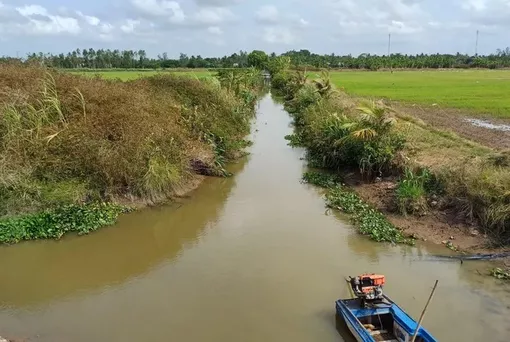 Vựa lúa số 1 Việt Nam: Làm gì khi xâm nhập mặn lấn nhanh vào nội đồng?