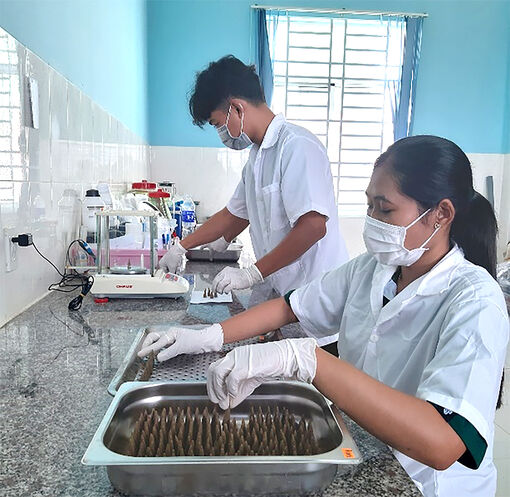 Tăng cường ứng dụng khoa học và công nghệ vào thực tiễn