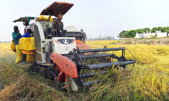 Thúc đẩy thế mạnh nông nghiệp huyện Phú Tân