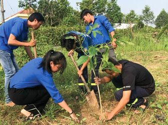 Thanh niên Châu Phú tình nguyện vì cuộc sống cộng đồng