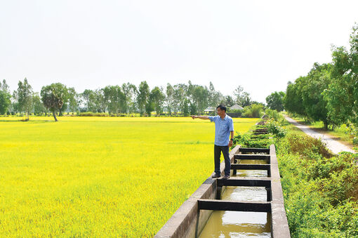 An Giang chủ động ứng phó mùa khô