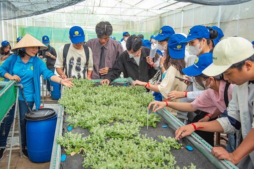 Học sinh Trường THPT Vĩnh Trạch trải nghiệm “Một ngày là sinh viên AGU”