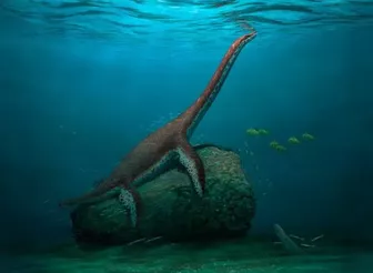 Lộ diện 'quái vật hồ Loch Ness' hoàn toàn mới ở Đức