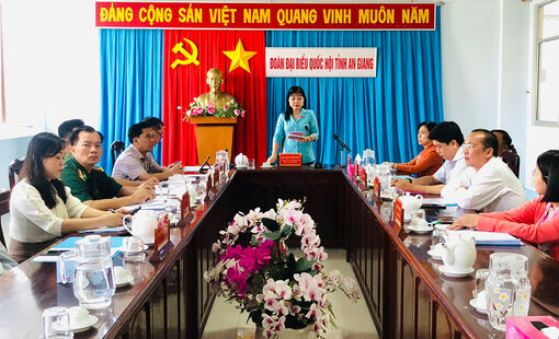 Đại biểu Quốc hội tỉnh An Giang chất vấn Bộ Tài chính