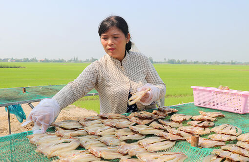 Đồng Tháp: Chị Nguyễn Thị Yến khởi nghiệp với sản phẩm khô cá lóc