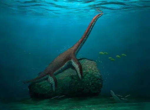 Lộ diện 'quái vật hồ Loch Ness' hoàn toàn mới ở Đức