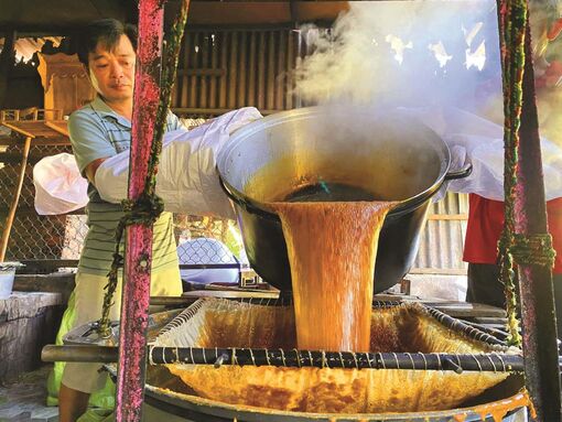 “Thủ phủ” thốt nốt