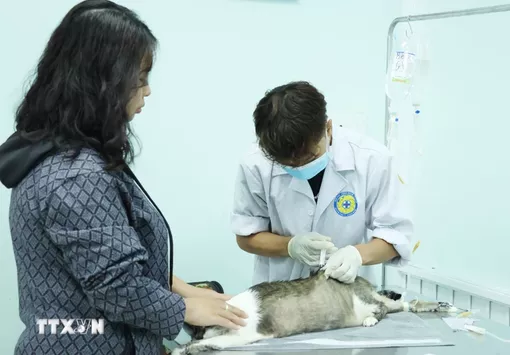 Việt Nam là điểm nóng về dịch bệnh lây truyền từ động vật sang người