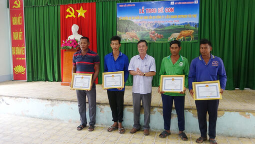 Công ty TNHH Liên doanh Antraco hỗ trợ bò giống cho bà con Khmer