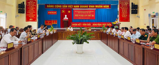 Huyện ủy Thoại Sơn triển khai phương hướng, nhiệm vụ trọng tâm quý II/ 2024
