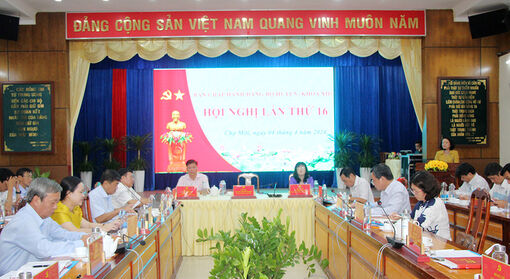 Huyện ủy Chợ Mới đánh giá tình hình thực hiện nhiệm vụ chính trị quý I/2024