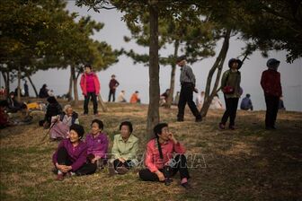 Số hộ gia đình độc thân tại Hàn Quốc trong tháng 3 đạt mức cao kỷ lục
