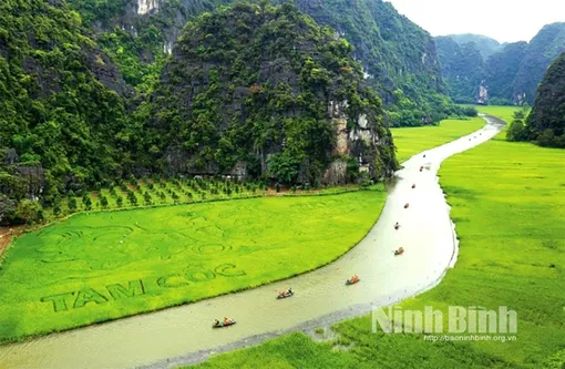 Bảo tồn giá trị cảnh quan sông Ngô Đồng