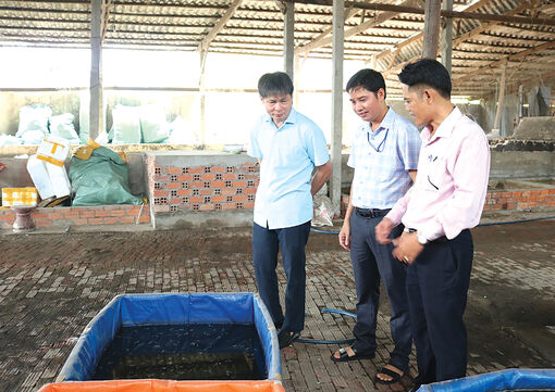 Hỗ trợ thanh niên khởi nghiệp sáng tạo