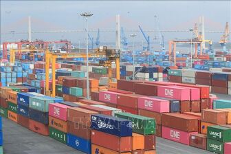 Việt Nam duy trì đà tăng trưởng xuất khẩu sang Ấn Độ