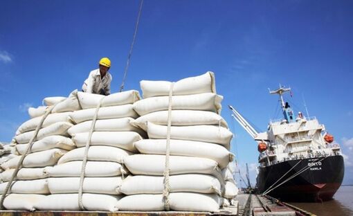 Xuất khẩu gạo của Việt Nam đạt hơn 2,1 triệu tấn trong quý I-2024