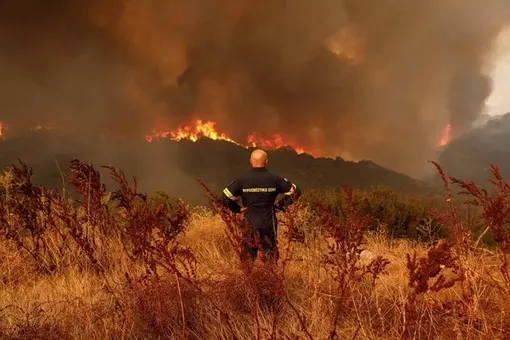 Châu Âu vừa trải qua đợt cháy rừng tồi tệ nhất thế kỷ