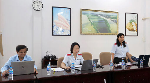 Thanh tra chuyên ngành về bảo hiểm tại các đơn vị sử dụng lao động trên địa bàn tỉnh An Giang