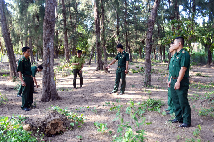 Trà Vinh: Đồn Biên phòng Mỹ Long với công tác phòng cháy rừng trong mùa khô