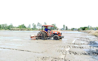 Tập huấn “Kỹ thuật canh tác tiên tiến nâng cao hiệu quả sản xuất lúa cho đồng bằng sông Cửu Long”
