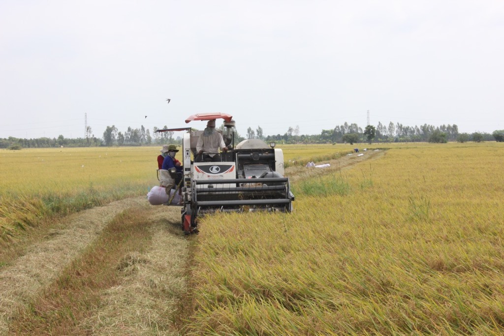 Phát triển sản xuất nông nghiệp ở huyện Châu Phú