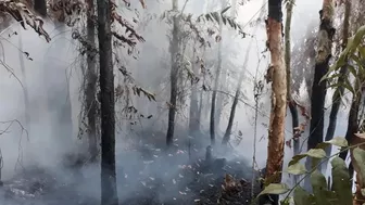 Bạc Liêu: Kịp thời khống chế đám cháy rừng tràm