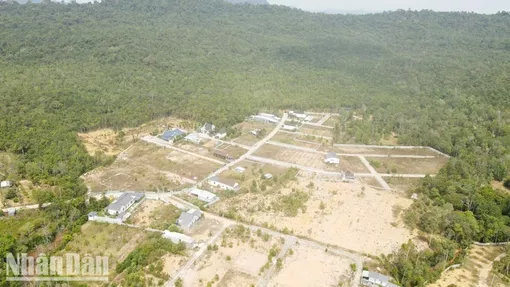 Kiên Giang: Cảnh báo việc lừa đảo cấp đất ở Vườn Quốc gia Phú Quốc