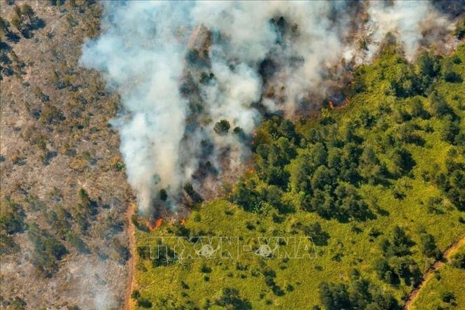 Cháy lớn thiêu rụi hơn 300ha rừng ở Cuba