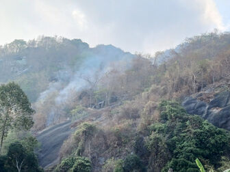Tri Tôn khống chế được vụ cháy rừng trên núi Cô Tô