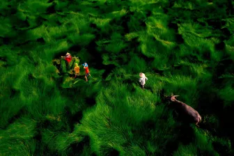 Ngắm khung cảnh Việt Nam trong 100 bức ảnh đẹp nhất thế giới chụp từ trên cao