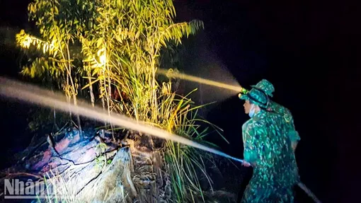 Kiên Giang: Vụ cháy rừng ở huyện Giang Thành thiệt hại khoảng 371ha