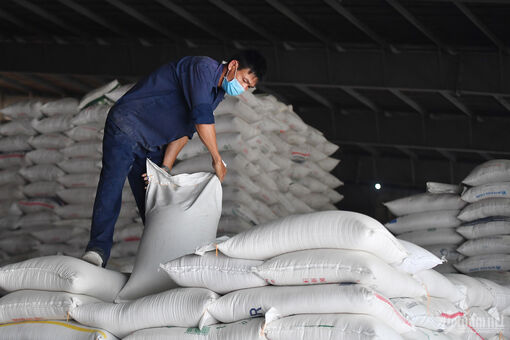 Giá gạo thơm tăng 60%, thế giới thiếu hụt 7 triệu tấn