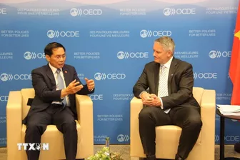 OECD đánh giá cao Việt Nam trong vai trò Đồng Chủ trì Chương trình Đông Nam Á
