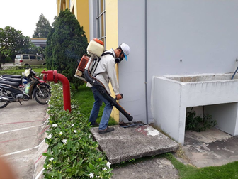 Diệt mối 24H - Đơn vị cam kết chất lượng dịch vụ diệt côn trùng tại tỉnh Long An
