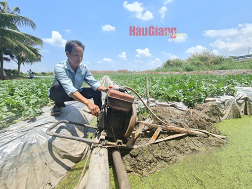 Kiên Giang: Phú Quốc sẽ có Quảng trường Hồ Chí Minh