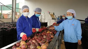 Nâng cấp “con đường” xuất khẩu nông sản sang Trung Quốc