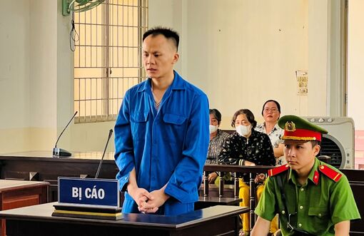 Trả giá vì hành vi ngông cuồng