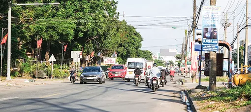 Hậu Giang: Dâng hương, dâng hoa viếng Bác và trao tặng huy hiệu Đảng